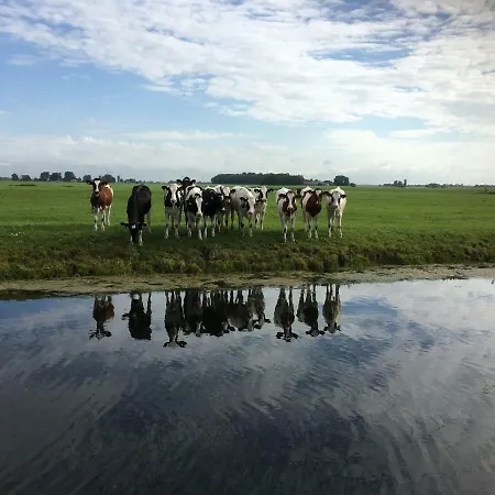 Vakantiehuis Het Voorhuis Op Landgoed Koepeltjesplaats Gaast Exterior photo