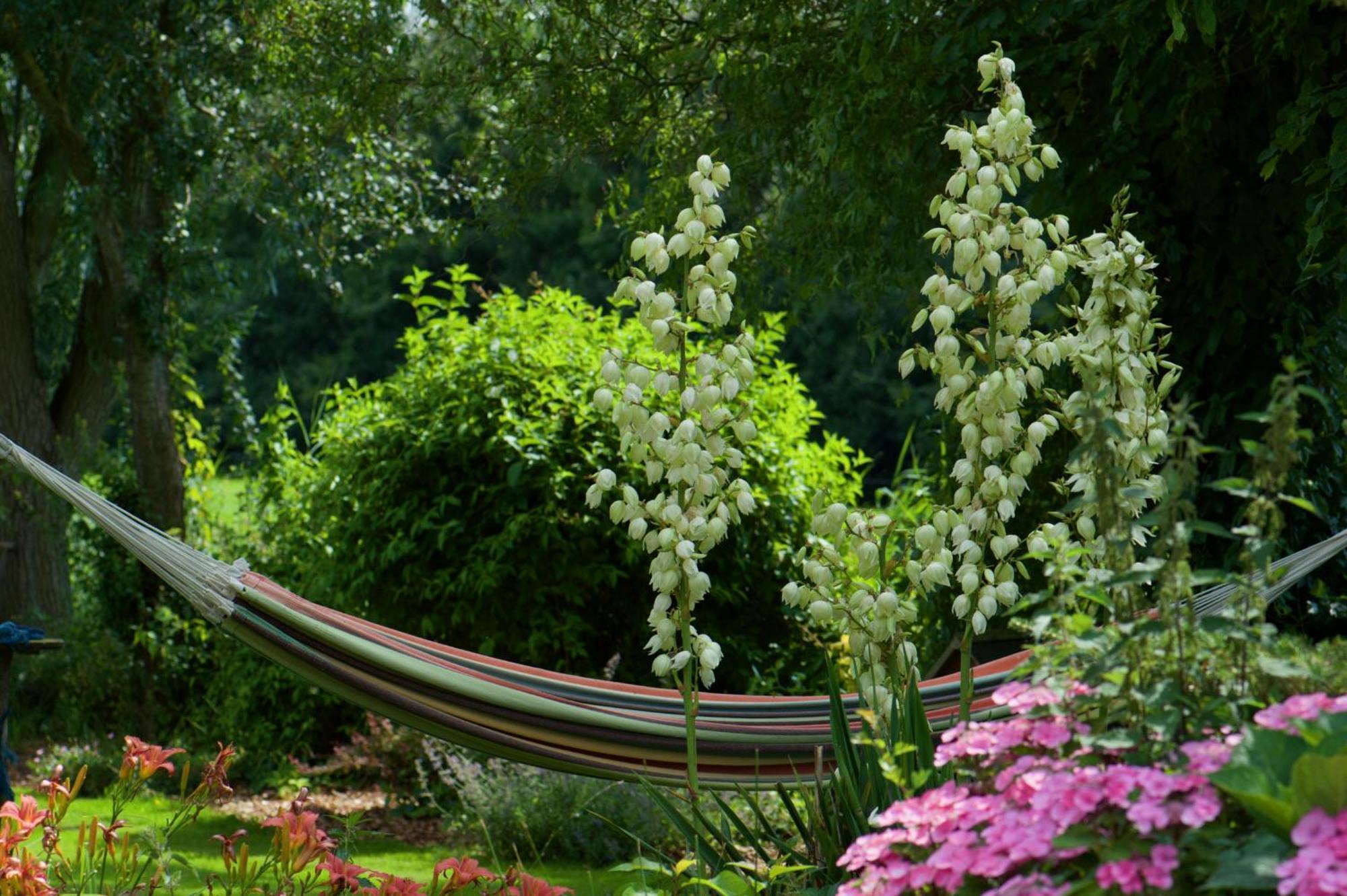 Het Voorhuis Op Landgoed Koepeltjesplaats Holiday home