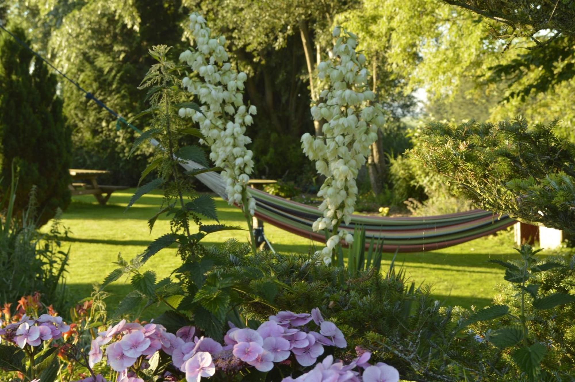 Het Voorhuis Op Landgoed Koepeltjesplaats Holiday home