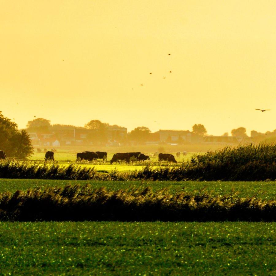 Het Voorhuis Op Landgoed Koepeltjesplaats