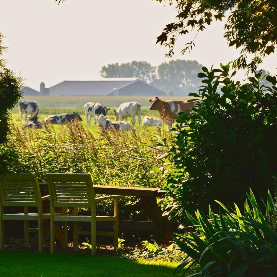 Holiday home Het Voorhuis Op Landgoed Koepeltjesplaats Gaast