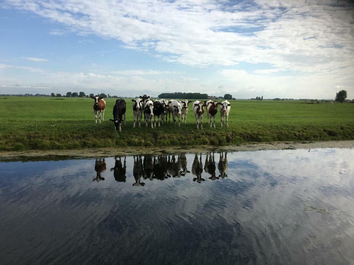 Op Landgoed Koepeltjesplaats Vakantiehuis *